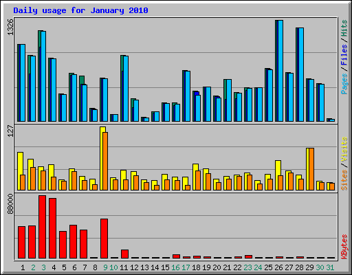 Daily usage for January 2010