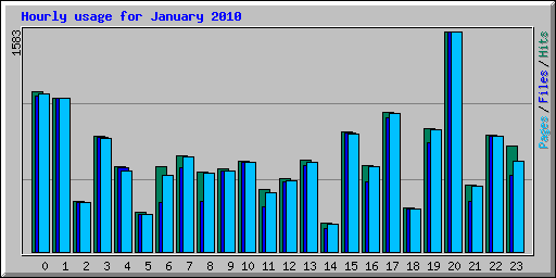 Hourly usage for January 2010